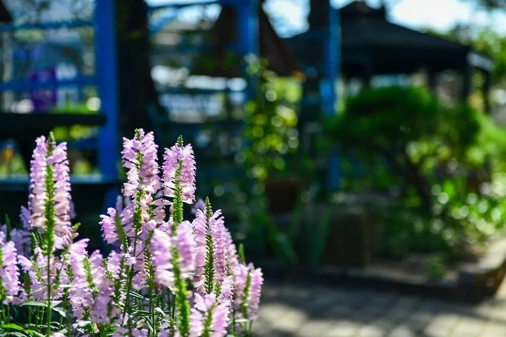 *** Wisma tamu Eden'S Gardens Pension Incheon Korsel